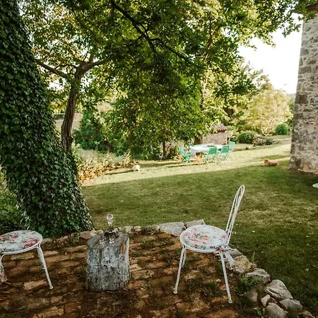 Vila Luxury Asa