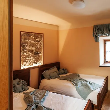 Vila Luxury Asa Sezana