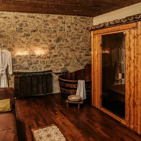 Luxury Asa Vila Sezana
