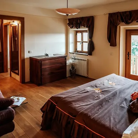 Vila Luxury Asa Sezana