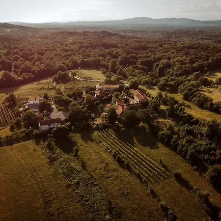 Vila Luxury Asa Sezana