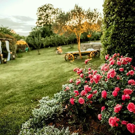 Vila Luxury Asa